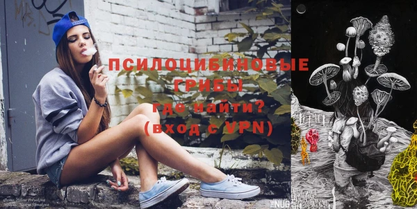 скорость Лагань