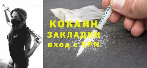 шишки Лабытнанги