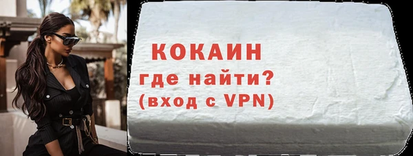 шишки Лабытнанги