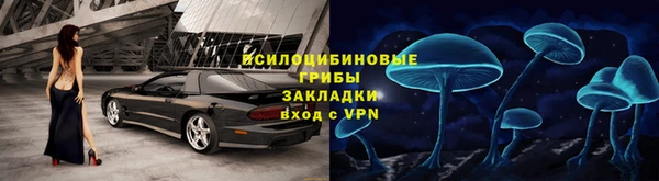 шишки Лабытнанги