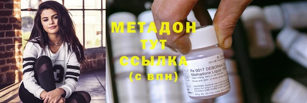 шишки Лабытнанги