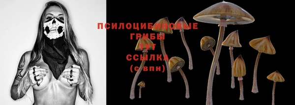 шишки Лабытнанги