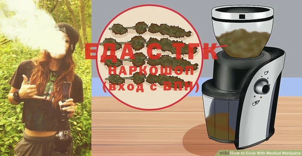 шишки Лабытнанги