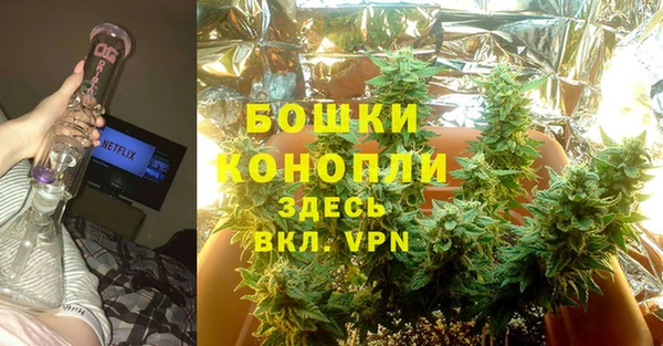 шишки Лабытнанги