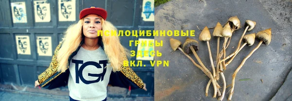 ALPHA PVP Ладушкин