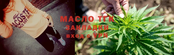 шишки Лабытнанги