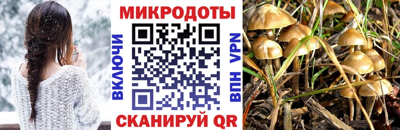 shop клад  закладка  Морозовск  Галлюциногенные грибы ЛСД 